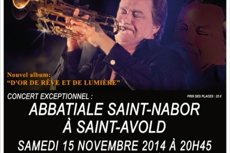 Concert de Jean-Claude Borelly, le 15 novembre...